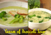 cream of broccoli soup